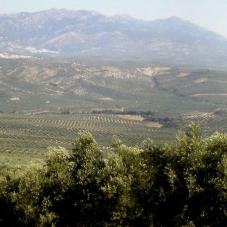 הוילה וייקאריו Cortijo El Derramadero מראה חיצוני תמונה