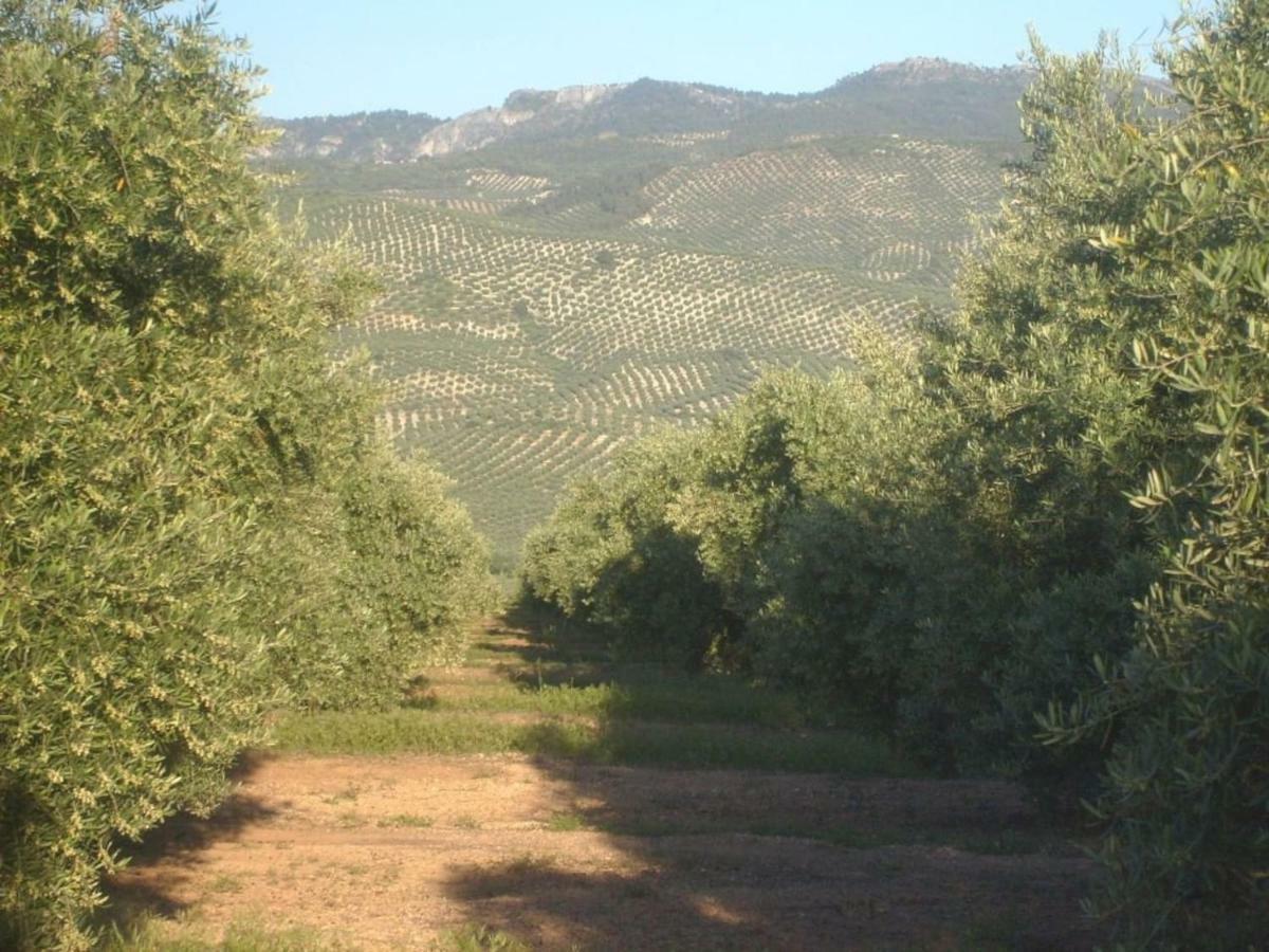 הוילה וייקאריו Cortijo El Derramadero מראה חיצוני תמונה